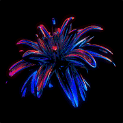 ART (59).gif