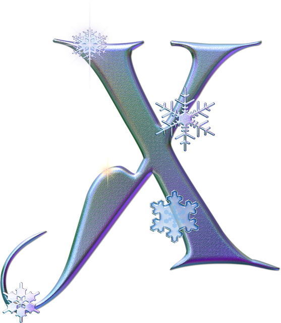 X 541707