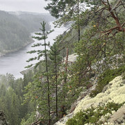 IMG 4897