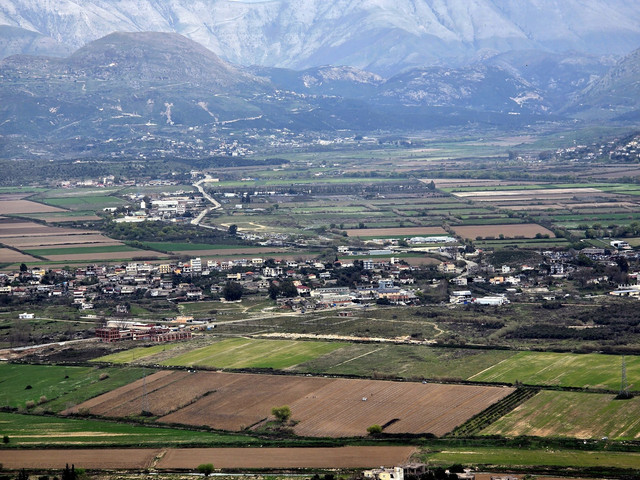 91.jpg