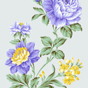 5e5830d6bb76589d246c0d12d65e337e