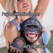 monke-Forevee