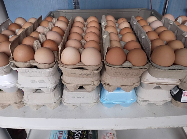 Snapshot from DJ's Fresh Market farm stand in Appleton, Wisconsin