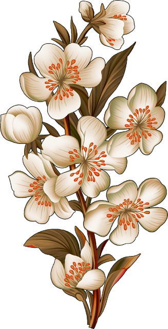d932034d4cf7b1eabb586dcc0fe2d7f2.png