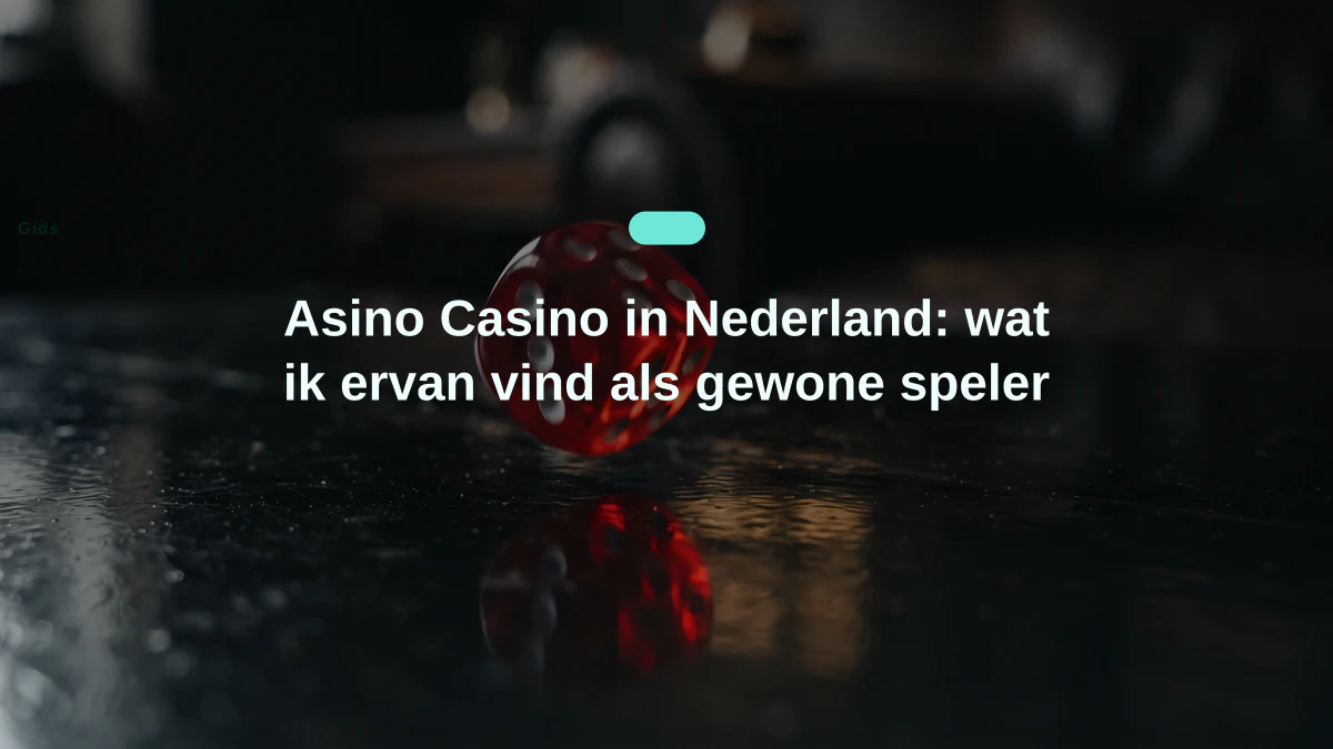 Asino Casino in Nederland: wat ik ervan vind als gewone speler