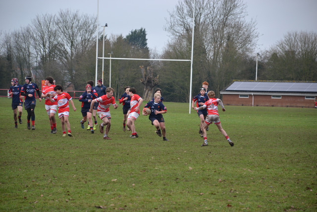 DSC 1398.jpg