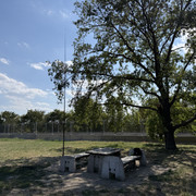 IMG 8154