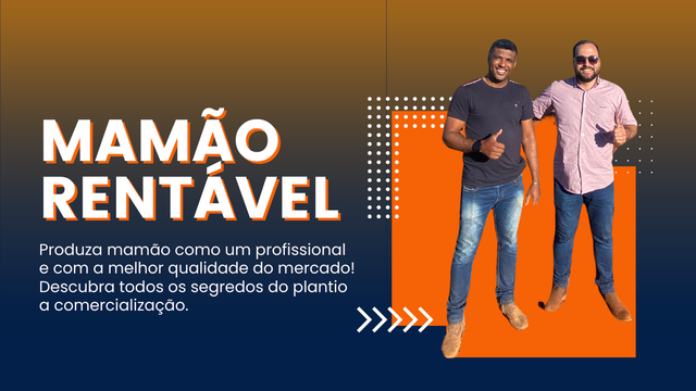 Mamão Rentável