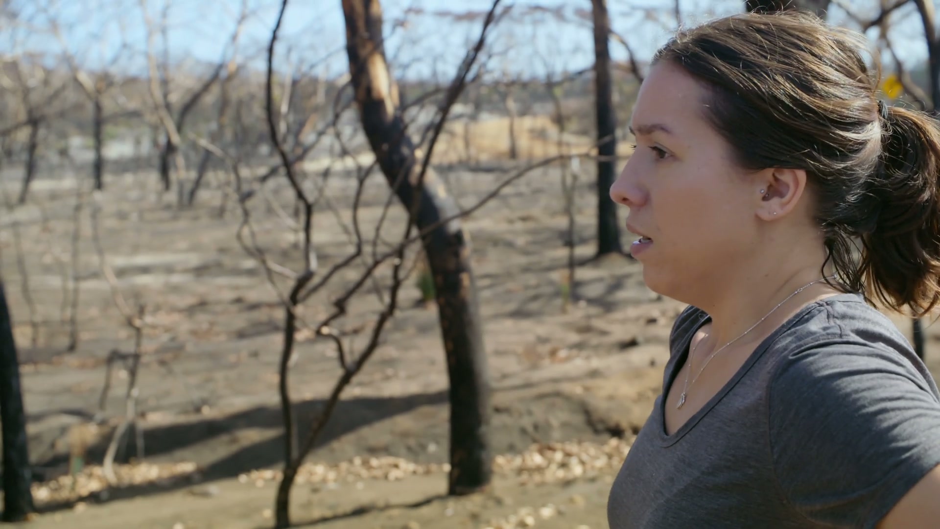 Breaking Boundaries: The Science of Our Planet Screenshot