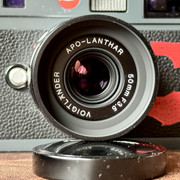 IMG 4844