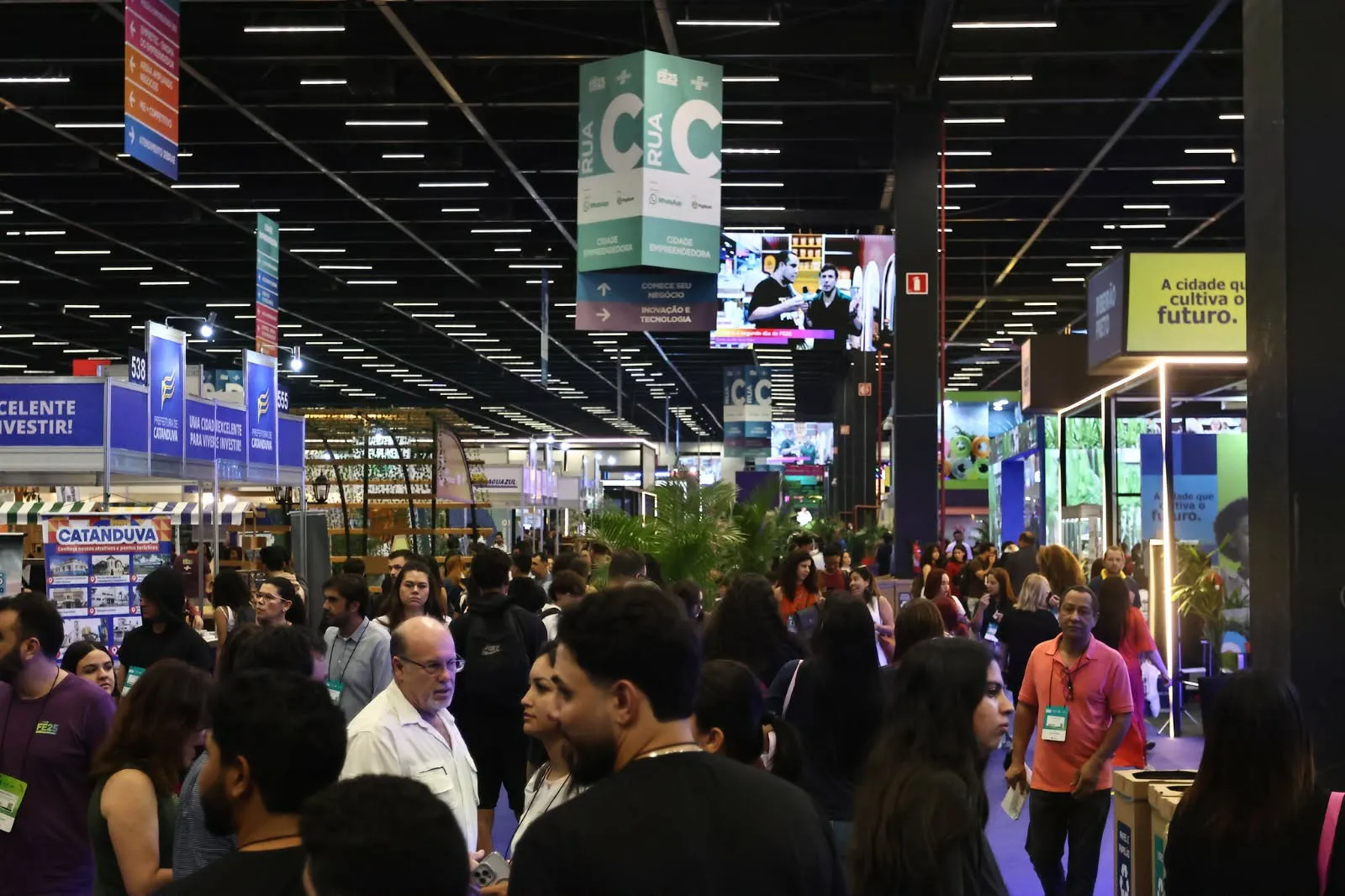 Sebrae Foto