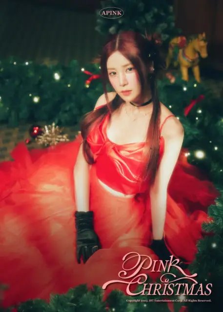 cho rong apink 30141