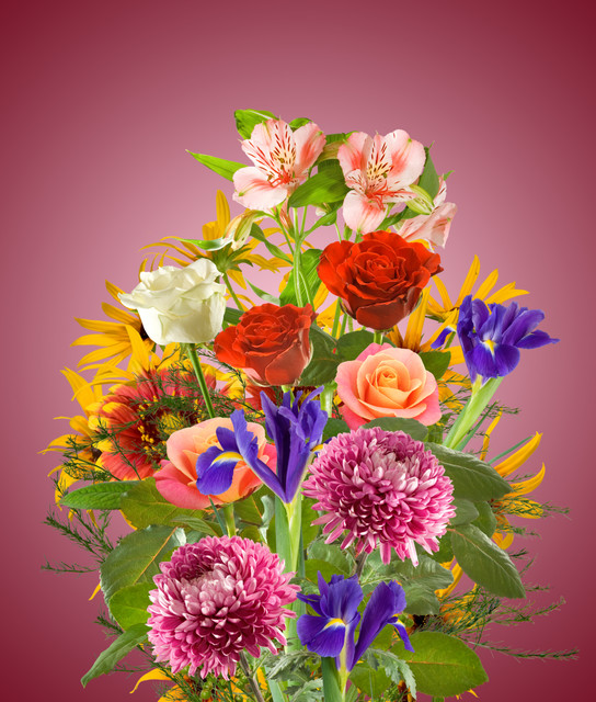 shutterstock-567340123.jpg