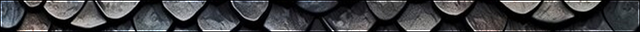 Draconic annals headers middle