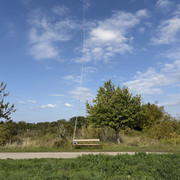 IMG-0811