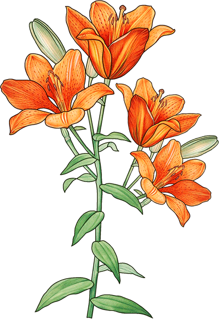 8acd166eb0d5d19ccba9f6bfb5f088f3.png