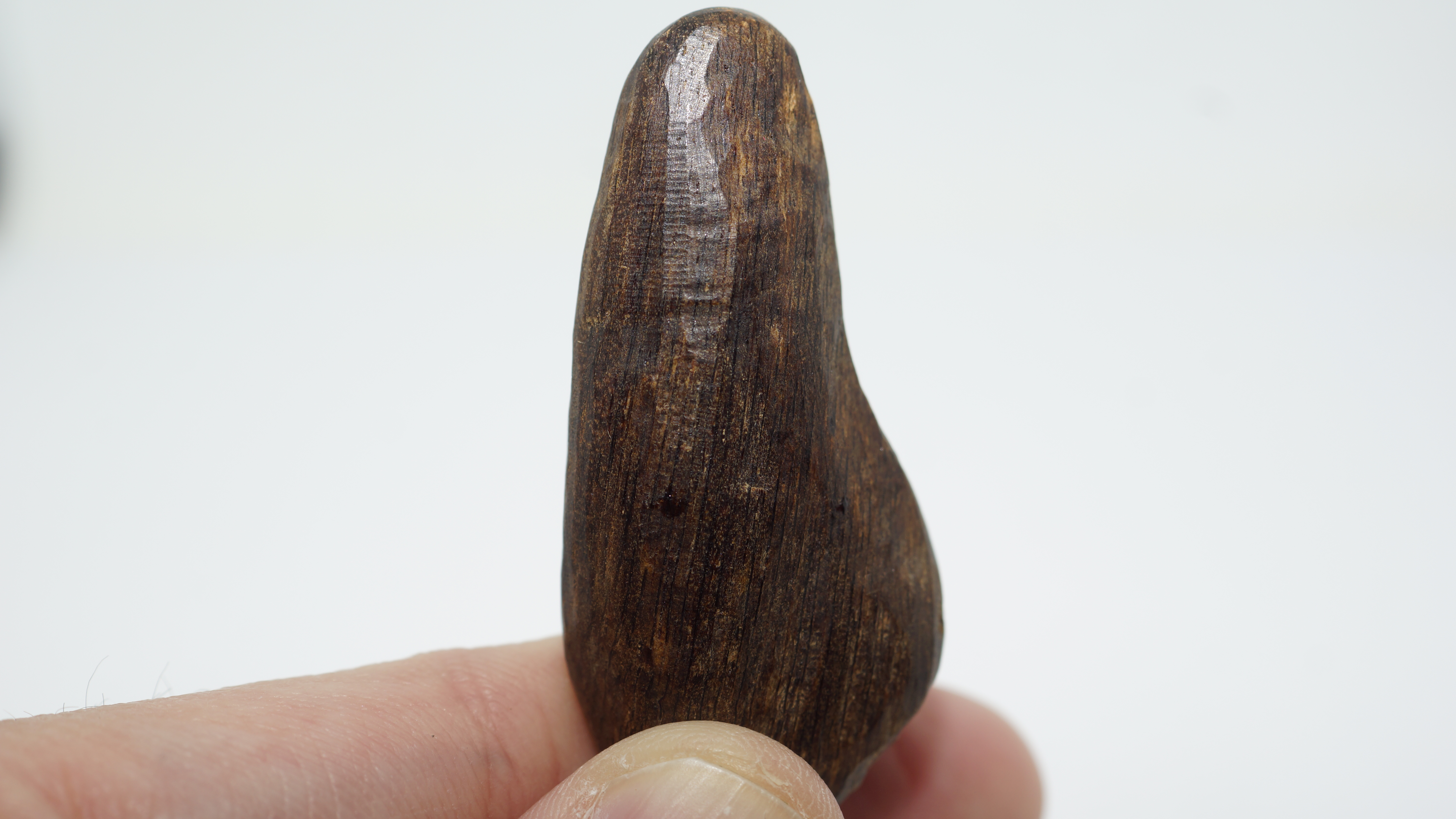 [Ouddict.com] Oud Wood