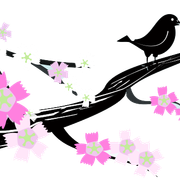 Spring-PNG-HD