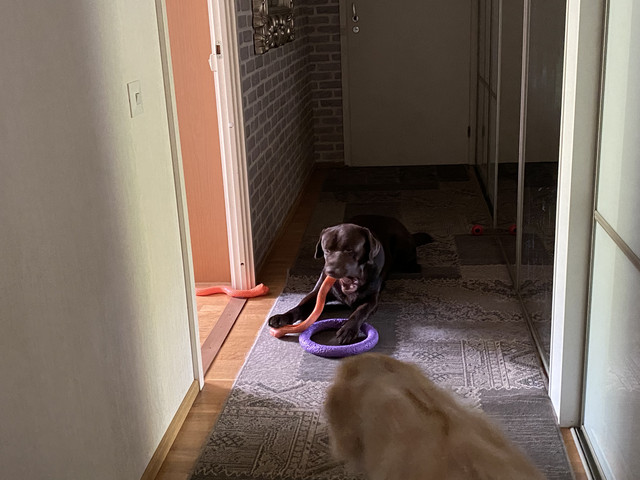 0-AB7-A95-B-6-C3-D-4-C8-C-BF84-C73-F1-D0