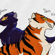 big cats