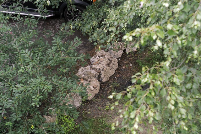 DSC5396-result.jpg