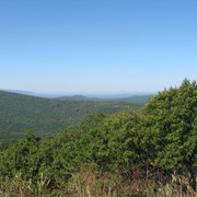IMG 0917