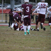 IMG-7339