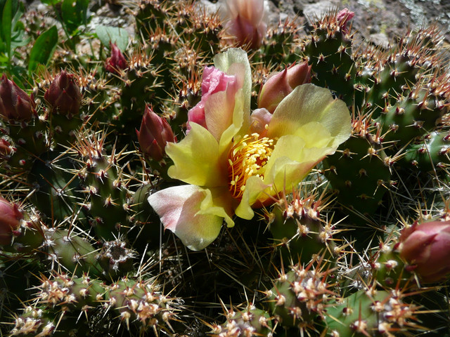 P1230891