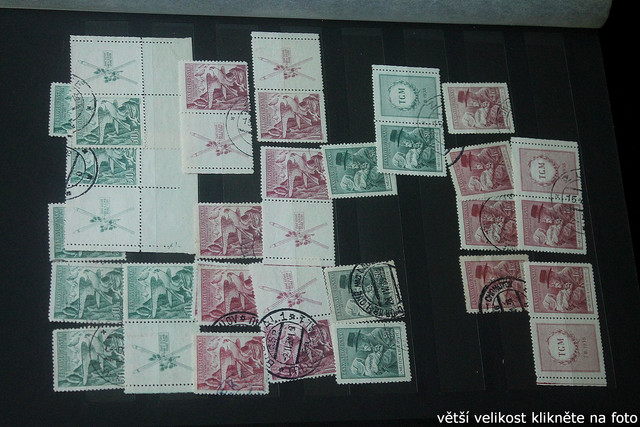 IMG-3284.jpg
