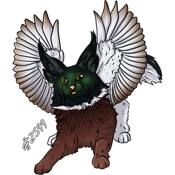 Pet Image