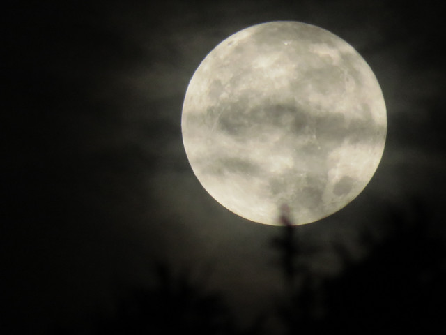 moon-038.jpg