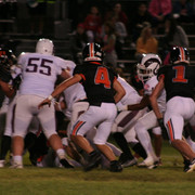 IMG-7333