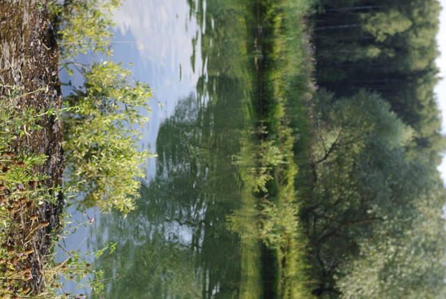 DSC5286-result.jpg