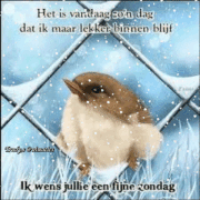 19.gif