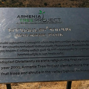 IMG-1300