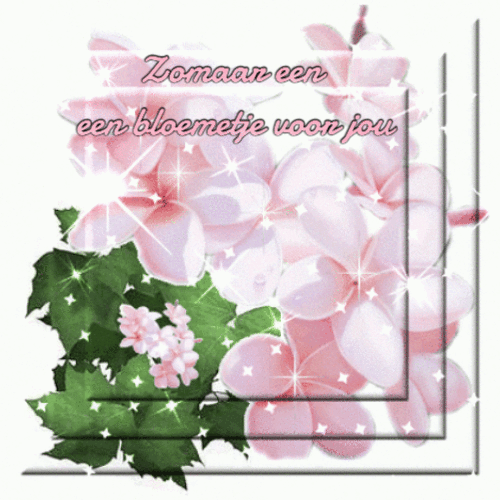 picmix-com-10828260.gif