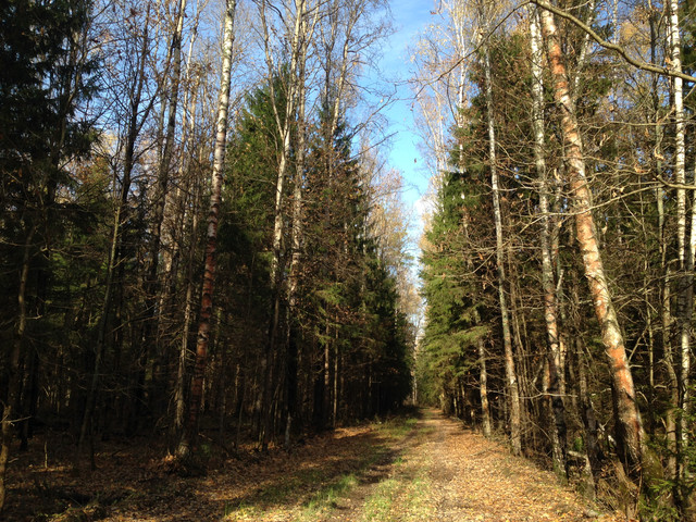 IMG-4354.jpg
