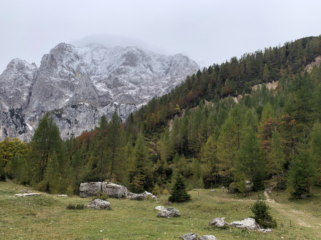 IMG-0204