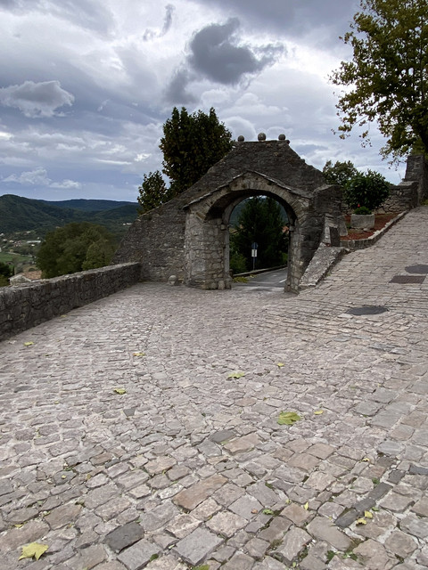 IMG-2265.jpg
