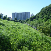P1320141