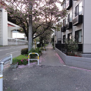 2011-04-24-43