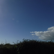 DSCF6723
