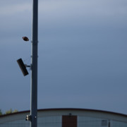 IMG-2157