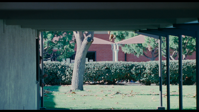 BRICK0071.png