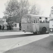Аврора