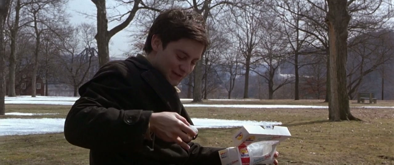Wonder Boys Screenshot