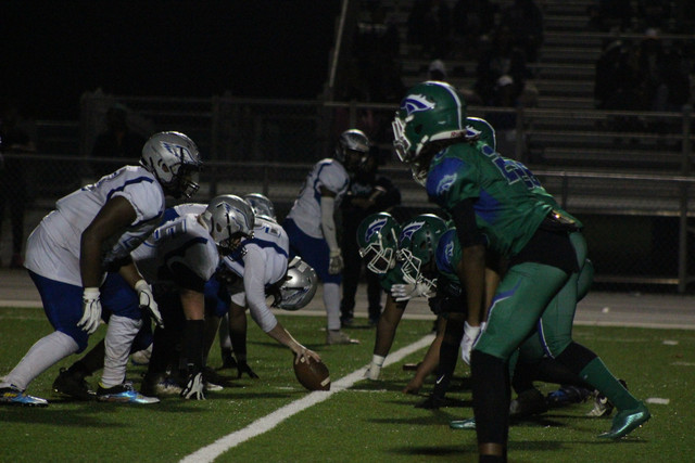 IMG-0123.jpg