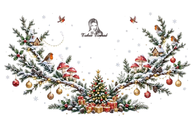 decoration tinnad (13).png