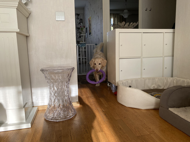 EA0-B117-B-0-D9-B-4-B46-BB7-F-4-CCAE2-E9