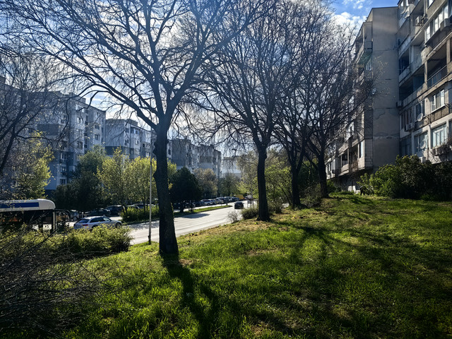 IMG 20260425 162759.jpg